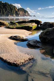 Travelgurus Tide Pools Vancouver Travel Landscape