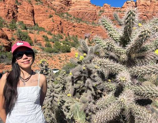 How bad can a jumping cholla or cactus can hurt you?