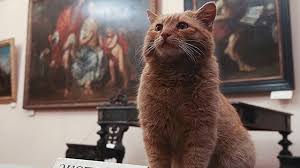 Causer seulement avec de belles mademoiselles. En Russie Le Musee De L Ermitage Recrute Des Chats Pour Une Mission Tres Importante
