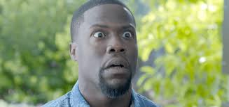 Kevin hart full list of movies and tv shows in theaters, in production and upcoming films. The Great Outdoors Remake Will Star Kevin Hart