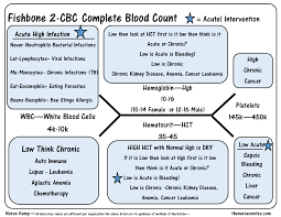 The Cbc Complete Blood Count Diagram On Meducation