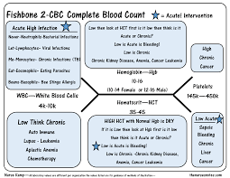 the cbc complete blood count diagram on meducation