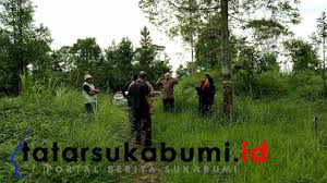 Dimaksud dengan pembahasan proposal kphp tana toraja di dephut. Tatarsukabumi Berita Terkini Sukabumi