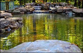Many koi keepers convert their swimming pools into koi ponds. Swimming Pool Converion Into A Koi Pond Project Spotlight Full Service Aquatics