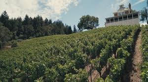 Maybe you would like to learn more about one of these? Camp Meeting Ridge Flowers Vineyards Winery