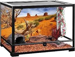 Image result for Terrarium Cling Background