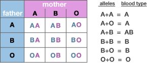 Whats Your Type Blood Groups High Blood Glucose Blood