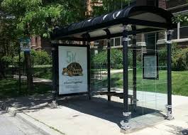 National Geographic S Photo Ark Savetogether Campaign Burmese Star Tortoise On Bus Shelter In Ch National Geographic Photos Bus Shelters National Geographic