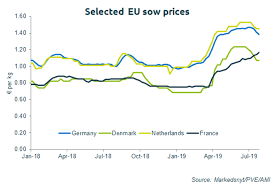 European Sow Prices Rally Pig World