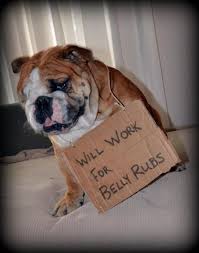 Now When I Say Work I Really Mean Not Work English Bulldog Lover English Bulldog Bulldog