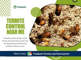 Get contact details and address of pest control services, termite control, pest control solutions firms and companies. Termite Companies Near Me Treebark Termite And Pest Control