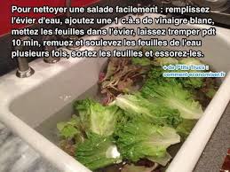 Comment Nettoyer Une Salade Facilement Salade Comment Nettoyer Recettes De Cuisine