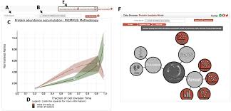 Plant cell division is restricted up to. Proteomic Analysis Of Cell Cycle Progression In Asynchronous Cultures Including Mitotic Subphases Using Primmus Biorxiv
