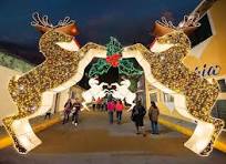 Outdoor Christmas Animated Decorations 2D 3D LED Street Motif Bear Deer  Butterfly Lighted Arch for Street Zoo Park Light Show