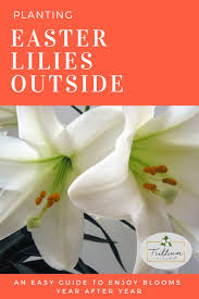If you crave beautiful flower blooms in your garden all summer long, then you need to plant some annuals in your yard! In Ohio And Other Midwest States You Can Plant Easter Lilies In Your Garden So That You Can Enjoy The Blooms Every Summer Easy Easter Lily Lily Plants Plants