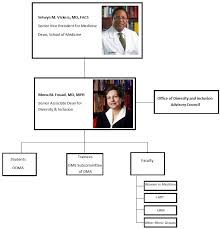 Organizational Chart School Of Medicine Diversity And