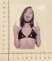 Riley Reid Finger Sticker Porn BJ Sex Porno Fun Auto V8 Pu109 : Amazon.de:  Automotive