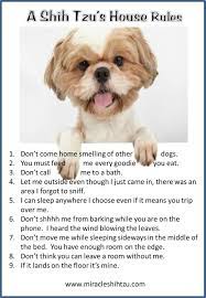 Check spelling or type a new query. Our Favorite Dog Quotes Dog Quotes Shih Tzu Puppy Shih Tzu Dog