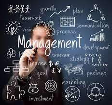 Advantages Of Interim Management Incubate Advisory Management Development Safety Management System Business Training