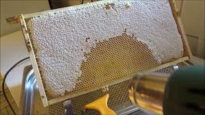 Honig schleudern translated from german to english including synonyms, definitions, and related words. Mein Neuer Trick Beim Honig Schleudern Youtube