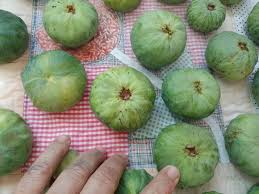 Mata Atlântica: Gabiroba gigante, fruta rara no ES, encanta pela versatilidade
