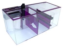 Check spelling or type a new query. Benefits Of Having A Sump For A Salltwater Aquarium