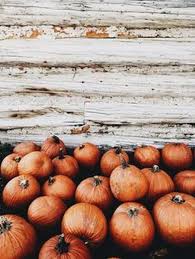 Nov 05, 2020 · tons of awesome aesthetic for thanksgiving wallpapers to download for free. Just As Before Designers On Each And Every Item Team Are Given Free Rein To Earn Their Very Own Aesthetic Choi Fall Background Fall Wallpaper Autumn Aesthetic