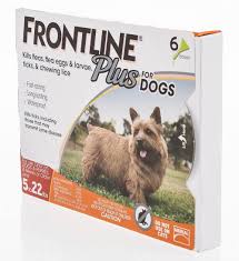 frontline plus for dogs dosage bear mountain lodge ny