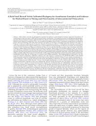 Image result for Neuracanthus africanus