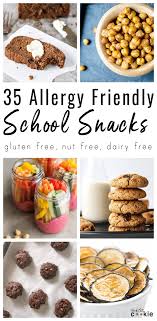 Everything from gluten free cookies, to gluten free fudge, homemade chocolate bark, cookie bars, and more! 35 Gluten Free Dairy Free Snack Recipes For School The Fit Cookie