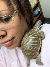 Just a lovely pickture of my mam (75) at 18 Palms meeting this beatyful  turtle.