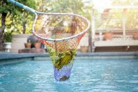 Une Epuisette Pour L Entretien De La Piscine Guide Piscine Fr