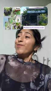 Agro Felipe/Vivero Aliari, Parita Herrera, whatsaap 63384406 Le esperamos  de Lunes a Sábados de 8:30am a 5:00pm. whatsaap 63384406 Parita