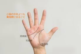 手相占い】宝くじが当たりやすい人の手相とは？最強の金運手相８選 | charmmy