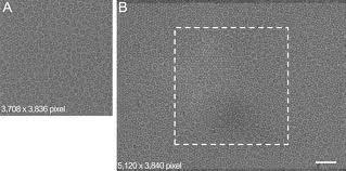 I can even move windows and my mouse onto the second monitor, however it obviously just disappears from sight. Below 3 A Structure Of Apoferritin Using A Multipurpose Tem With A Side Entry Cryoholder Scientific Reports