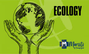 World environment day is used to celebrate on the 5 th june to make the people get aware of the environment and its effects on the daily life of the people. 5 June World Environment Day Champagnat