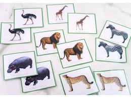 Animal flashcards include bear, cat, cow, elephant, donkey, dog, fox, giraffe, goat, hippopotamus, hen, goose, lion, rabbit, pig. Free Printable Safari Animal Matching Cards The Purposeful Nest
