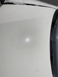 Image result for Campanella White 2008 GLI