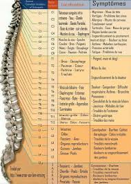 Zoom Sur Les Symptomes Lies Aux Maux De Dos Selon Les Vertebres Touches Sante Medecine Massotherapie Medecine