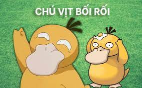 Psyduck còn mang biệt danh là vịt bối rối và được nhiều bạn trẻ yêu thích vì sự đáng yêu của mình. J L Xofbi679wm