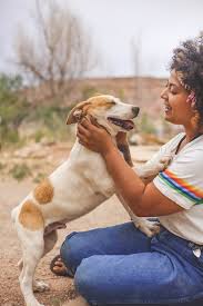 Areas underdog pet rescue of wisconsin, inc. Pets For Adoption At Underdog Animal Rescue And Rehab Moab In Moab Ut Petfinder