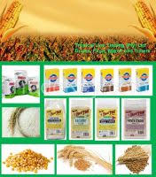 South Africa Spelt Flour South African Spelt Flour Manufacturers Made In South Africa