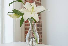 As a flower of big importance it symbolize devotion, lasting relationship, stability and loyalty. Anniversary Gifts By Year To Celebrate Your Marriage Shutterfly