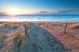 This report summarizes investigations of these five cases by the netherlands' office of the chief medical officer of health, the. Die Schonsten Strande In Holland Fur 2021 Inkl Bilder Reiseuhu De