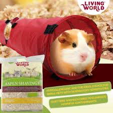 Guinea pig discount nesting material
