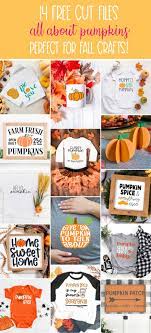 Download 14 Free Pumpkin Svgs For Pumpkin Spice Lovers Hello Creative Family