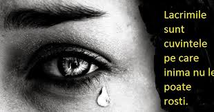 Citate despre viata care sa ne aminteasca cat de important este sa traim frumos, in felul nostru, acest miracol primit de undeva din univers. Lacrimile In Citate Aforisme Maxime Diane Ro