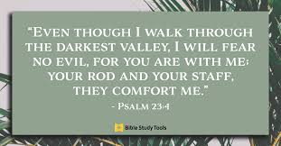 | 5 | 4 | 6 | 3 | how many books are there in the bible? 31 Most Popular Bible Verses From Psalms Encouraging Scriptures