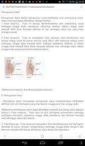Pernapasan perut pernapasan perut berlangsung dalam dua tahap, yaitu : Jelaskan Proses Pernafasan Perut Ppt Pernapasan Manusia Bandingkan Dengan Gambar 6 Video Mri Yang Menunjukkan Gerakan Dada Selama Siklus Pernapasan Densukeguzaime