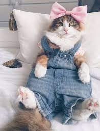 9gag Cute How S My Outfit Of Today Facebook
